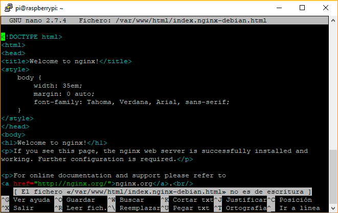 Editor nano ejecutado en la terminal de Linux