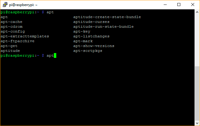 Resultado de la terminal de Linux después de presionar el tabulador con el comando apt