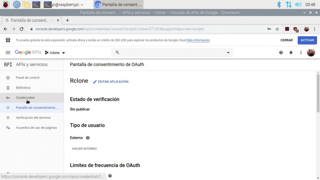 Confirmación de la creación de la pantalla de consentimiento para Rclone